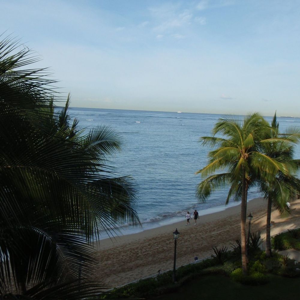 Meet your Posher, Luann